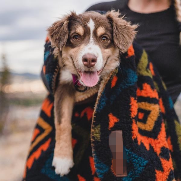Sherpa Fleece Waterproof Pet Blanket