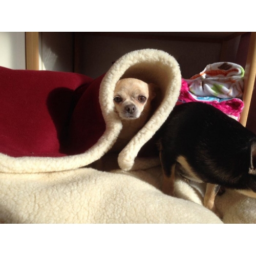 Sherpa Fleece Pet Dog Winter Warm Blanket Throw